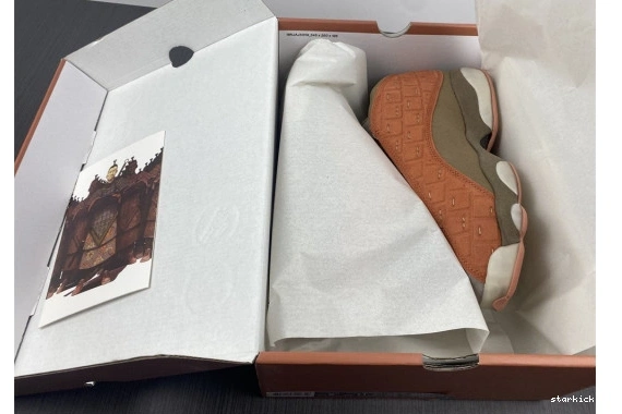 13 SEPIA X STONE JORDAN CANTEEN-TERRA AT3102-200 LOW AIR AT3102-200 CLOT BLUSH 0422